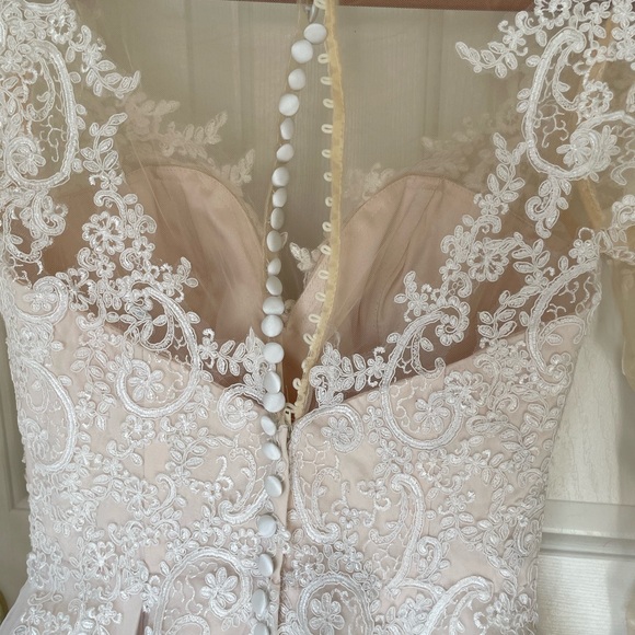 Champagne lace wedding dress - Picture 9 of 12